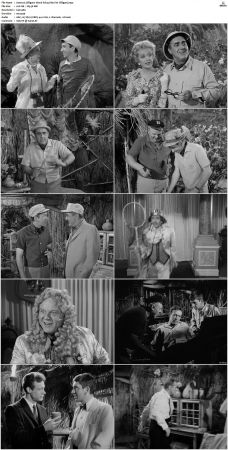 Gilligans Island S01 S03 DVDRip H264-NGP
