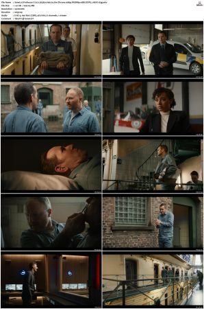 Professor T 2021 S01 S03 1080p WEBRip 10Bit DDP2 0 HEVC-d3g