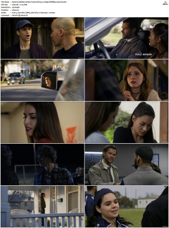 Walker S01 S04 WEBRip EAC3 5 1 1080p x265-iVy