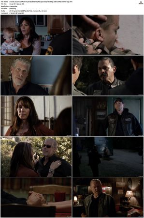 Sons of Anarchy S01-S07 SUPER-PACK 1080p WEBRip 10Bit DDP5.1 HEVC-d3g