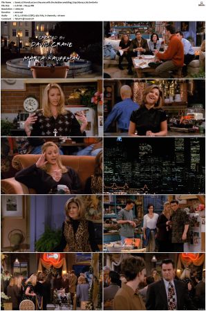 Friends S01-S10 SUPER-PACK 720p BluRay x265-BMF