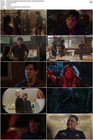 Almost Paradise S01 S02 WEBRip EAC3 5 1 1080p x265-iVy
