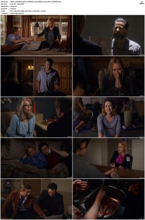 Medium S07 NORDiC 720p WEB-DL H 265 DD5.1-CiNEMiX
