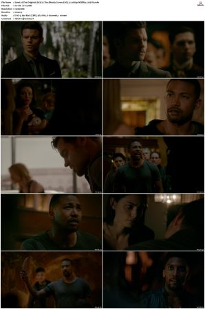 The Originals 2013 S01-S05 SUPER-PACK 1080p WEBRip EAC3 5.1 x265-iVy
