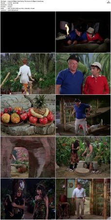 Gilligans Island S01 S03 DVDRip H264-NGP