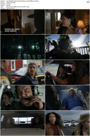 Big Sky S01 S03 WEBRip EAC3 5 1 1080p x265-iVy