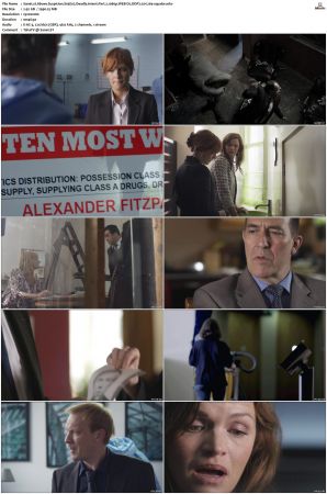 Above Suspicion S01 S04 SUPER-PACK 1080p WEB-DL DDP2 0 H264-squalor