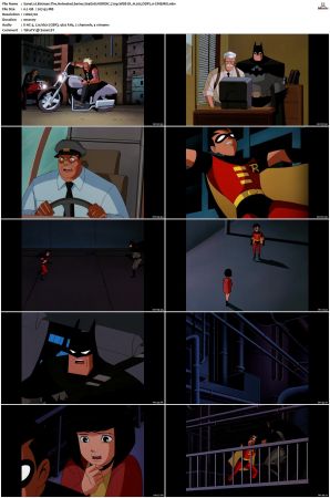Batman The Animated Series S01-S04 720p WEB-DL H265 DDP2.0-CiNEMiX
