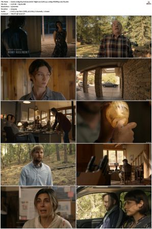 Big Sky S01 S03 WEBRip EAC3 5 1 1080p x265-iVy