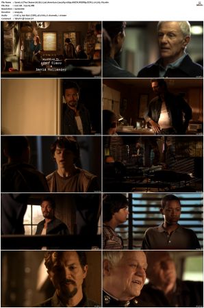 The Cleaner S01 S02 1080p AMZN WEBRip DDP 5 1 x265-iVy