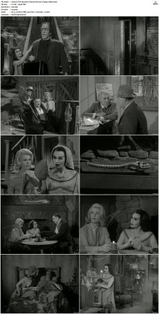 The Munsters 1964 S01 S02 DVDRip MPEG-NGP