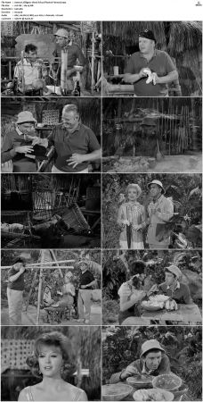 Gilligans Island S01 S03 DVDRip H264-NGP