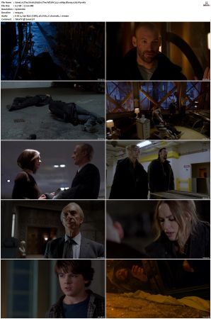 The Strain S01 S04 Bluray EAC3 5 1 1080p x265-iVy