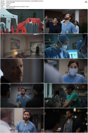 New Amsterdam S01 S05 WEBRip EAC3 5 1 1080p x265-iVy