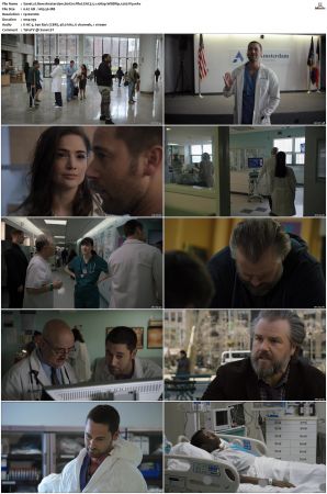 New Amsterdam S01 S05 WEBRip EAC3 5 1 1080p x265-iVy
