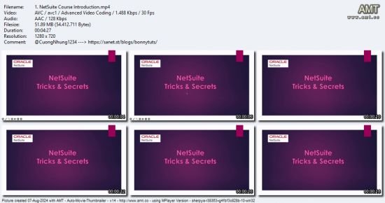 NetSuite Tricks &amp; Secrets