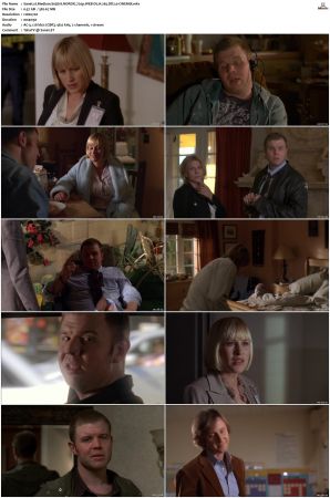 Medium S03 NORDiC 720p WEB-DL H 265 DD2 0-CiNEMiX