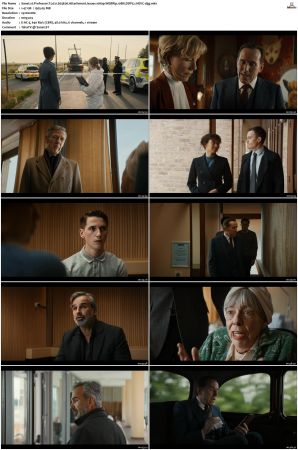 Professor T 2021 S01 S03 1080p WEBRip 10Bit DDP2 0 HEVC-d3g