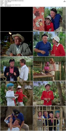 Gilligans Island S01 S03 DVDRip H264-NGP