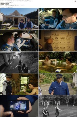 Wellington Paranormal S01 S04 720p BluRay H265 BONE