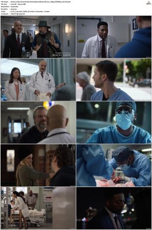 New Amsterdam S01 S05 WEBRip EAC3 5 1 1080p x265-iVy
