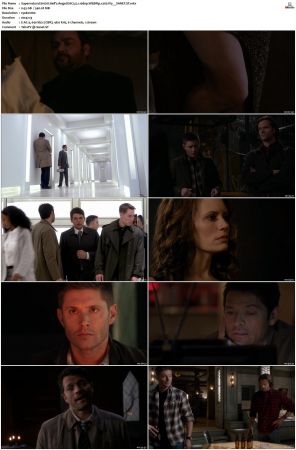 Supernatural S01 S15 WEBRip EAC3 2 0 1080p x265-iVy