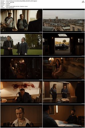 Professor T 2021 S01 S03 1080p WEBRip 10Bit DDP2 0 HEVC-d3g