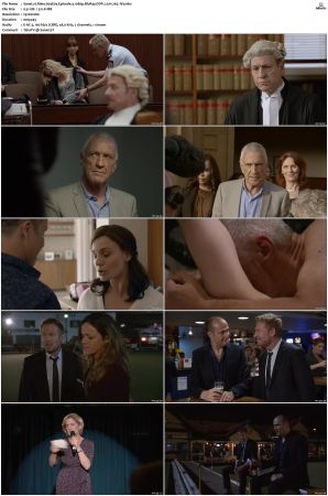 Rake S01 S05 1080p BluRay DDP 2 0 x265-iVy