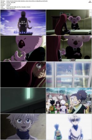 Hunter X Hunter S01-S03 Bluray EAC3 2 0 1080p x265-iVy