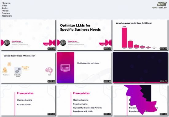 Optimize LLMs for Specific Business Needs