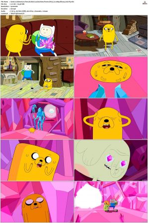 Adventure Time 2008 S01-S10 + Fionna and Cake 1080p Bluray EAC3 2.0 x265-iVy