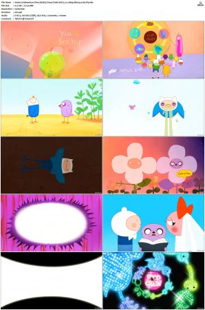 Adventure Time 2008 S01-S10 + Fionna and Cake 1080p Bluray EAC3 2.0 x265-iVy