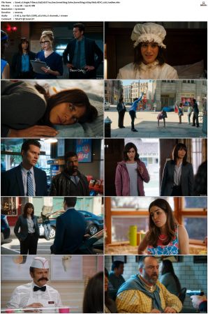 Angie Tribeca S01-S04 SUPER-PACK 1080p WEB DDP5.1 HEVC x265-JoeBee