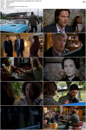 Supernatural S01 S15 WEBRip EAC3 2 0 1080p x265-iVy