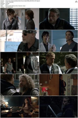 Sons of Anarchy S01-S07 SUPER-PACK 1080p WEBRip 10Bit DDP5.1 HEVC-d3g