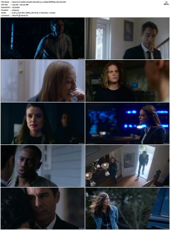 Travelers 2016 S01 S03 Bluray-WEB EAC3 5 1 1080p x265-iVy