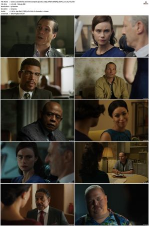 Godfather Of Harlem S01-S03 1080p WEBRip EAC3 5.1 x265-iVy