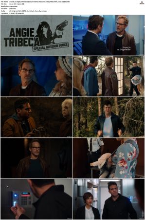 Angie Tribeca S01-S04 SUPER-PACK 1080p WEB DDP5.1 HEVC x265-JoeBee