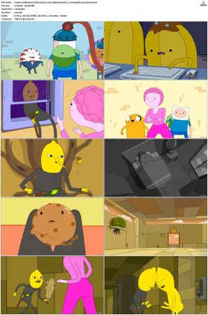 Adventure Time 2008 S01-S10 + Fionna and Cake 1080p Bluray EAC3 2.0 x265-iVy