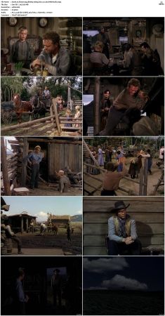 Shane 1953 BluRay 1080p DD 2.0 x264-BHDStudio