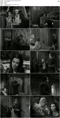 The Munsters 1964 S01 S02 DVDRip MPEG-NGP
