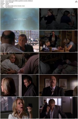 Medium S04 NORDiC 720p WEB-DL H 265 DD5.1-CiNEMiX