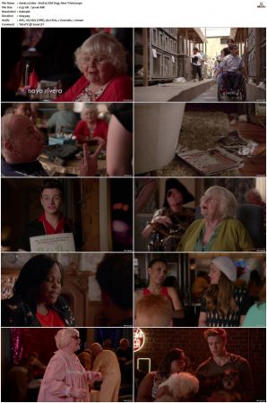 Glee S01-S06 480p WEB X264-NGP