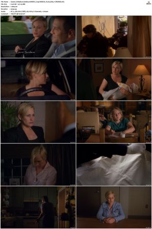 Medium S06 NORDiC 720p WEB-DL H 265 DD5 1-CiNEMiX