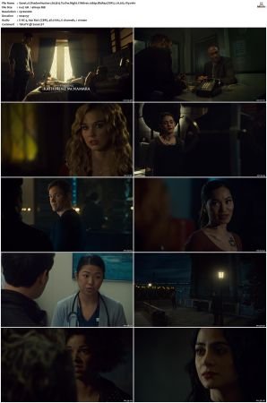 Shadowhunters S01-S03 1080p BluRay DDP 5.1 x265-iVy