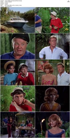 Gilligans Island S01 S03 DVDRip H264-NGP