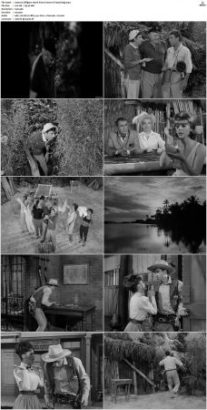 Gilligans Island S01 S03 DVDRip H264-NGP