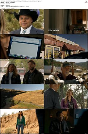 Big Sky S01-S03 1080p WEBRip EAC3 5.1 x265-iVy