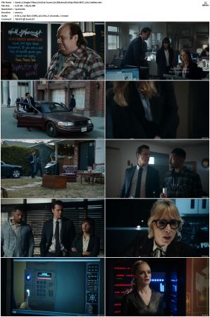 Angie Tribeca S01 S04 SUPER-PACK 1080p Web DDP5 1 HEVC x265-JoeBee