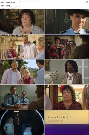 The Madame Blanc Mysteries 2021 S01 S03 720p WEB-DL HEVC x265 BONE